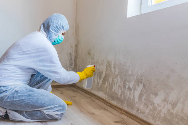 Professional Mold Removal in Drumright, OK