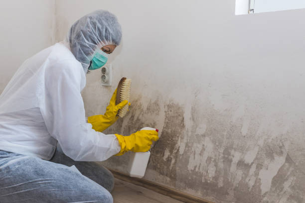 Mold Testing and Removal in Drumright, OK