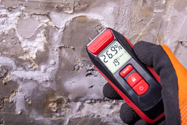 Best Toxic Mold Removal  in Drumright, OK