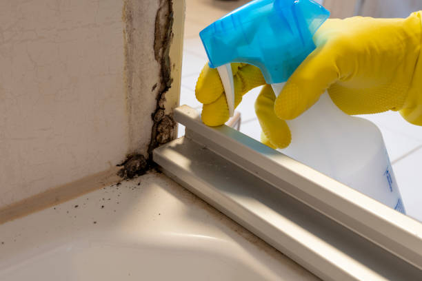 Best Mold Cleaning Services  in Drumright, OK