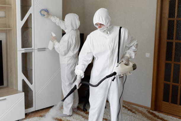 Best Mold Cleaning Services  in Drumright, OK