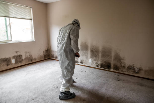 Best Crawl Space Mold Removal  in Drumright, OK