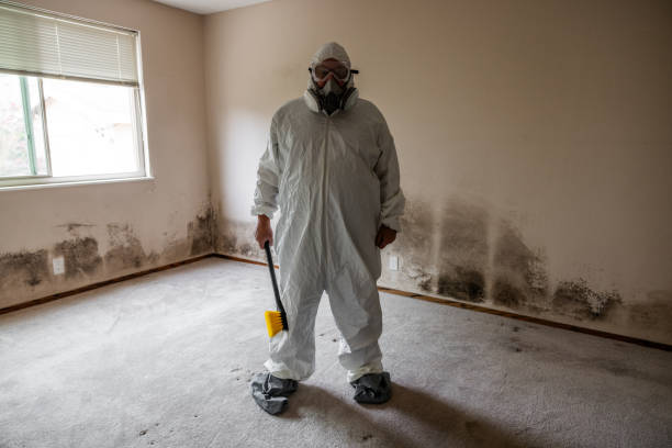 Best Home Mold Removal  in Drumright, OK