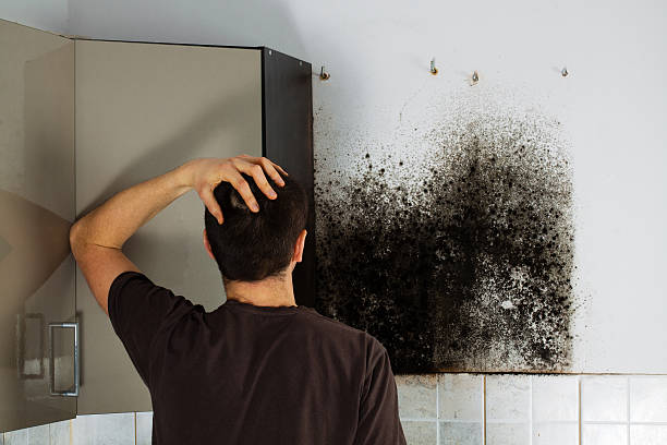 Best Commercial Mold Removal  in Drumright, OK